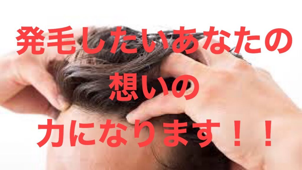 薄毛、抜け毛、生え際の後退……。発毛でのお悩み解決致します