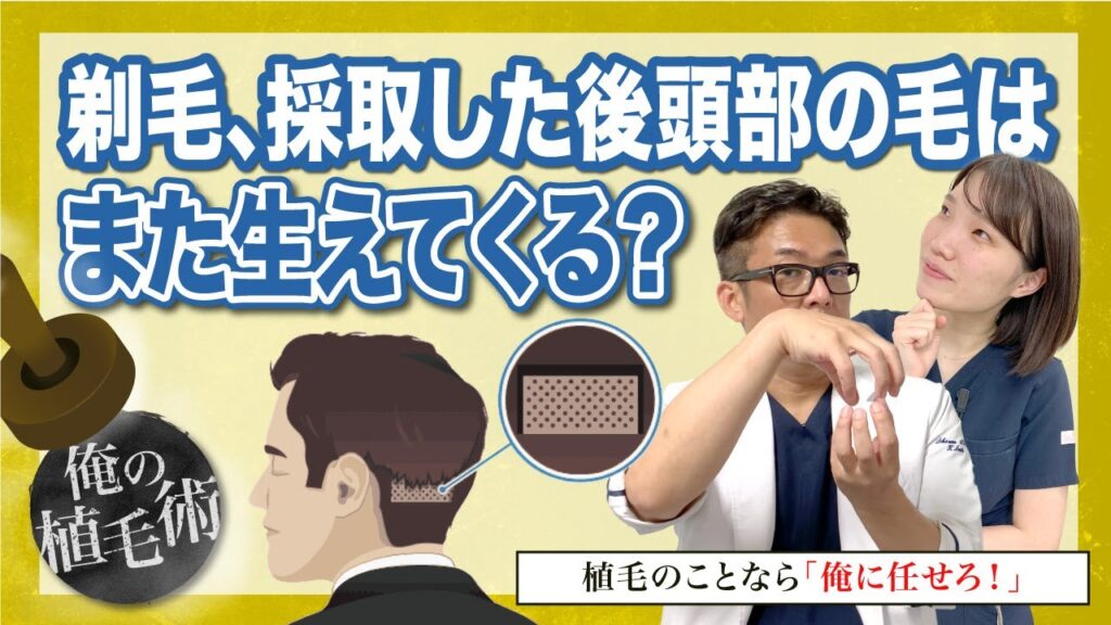 【俺の植毛術】剃毛、採取した後頭部の毛はまた生えてくるの?