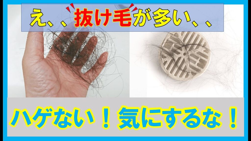 【抜け毛が気になる方必見】抜け毛の量は気にするな！