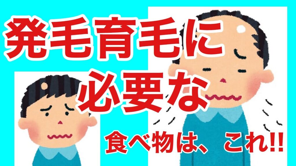 【薄毛抜け毛の改善に必要な食べ物】発毛育毛　保土ヶ谷グロー
