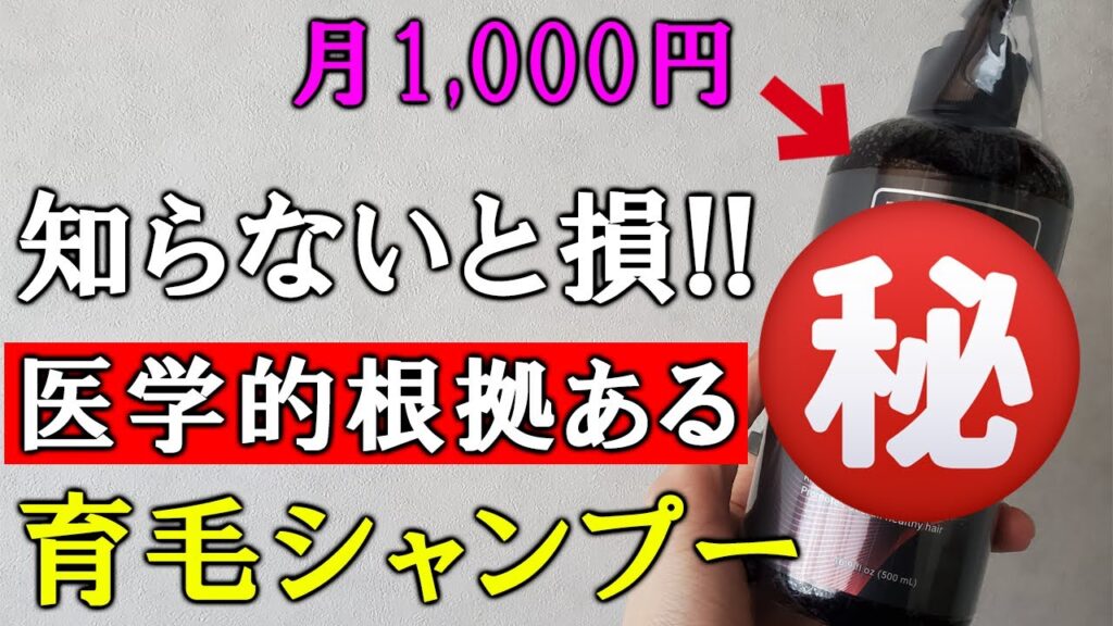月1000円で買える現時点で最強の育毛シャンプーを買ってみた