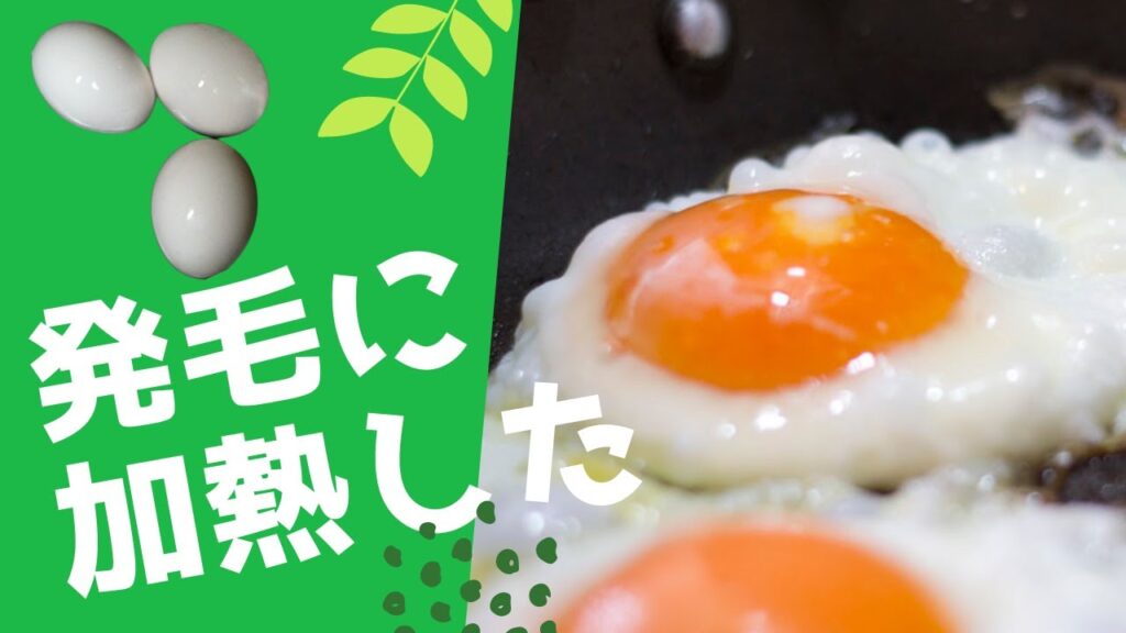 #56 髪の成長に良い食べ物、No.1は卵
