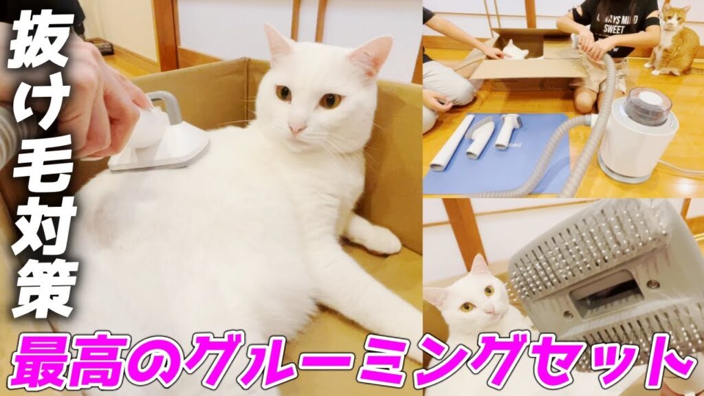 抜け毛対策！超便利で掃除も楽ちんな猫の毛対策グッズを頂きました【Neakasa P0】