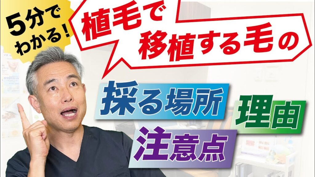 【植毛の疑問】”移植する毛”はなぜ後頭部からとるのか？
