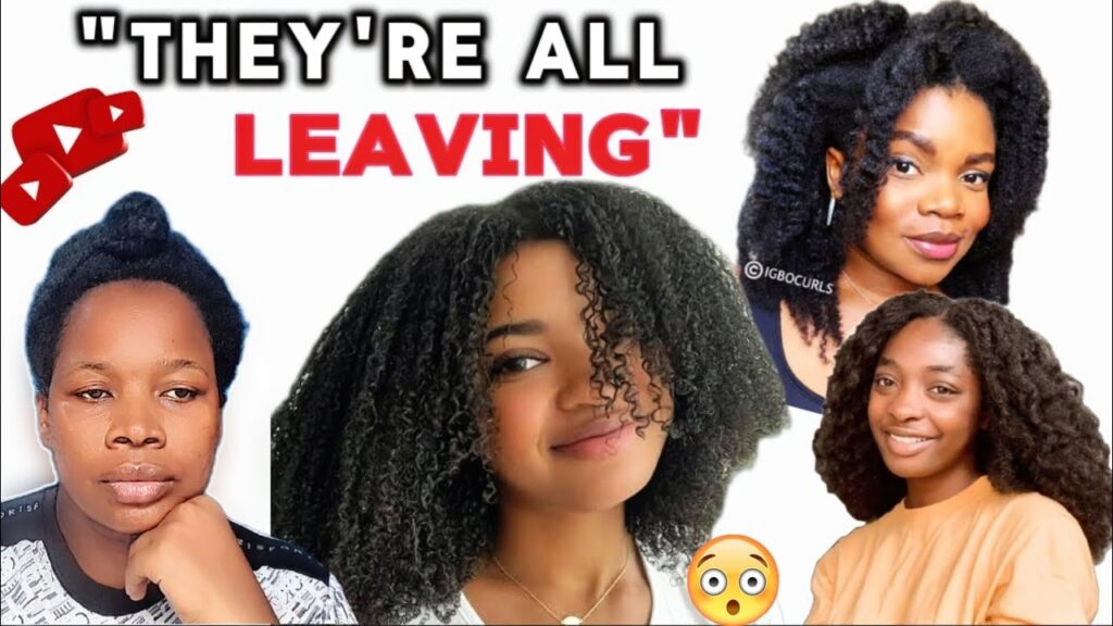 "The REAL Reason Why So Many Natural Hair Creators Are leaving the Natural Hair Community"